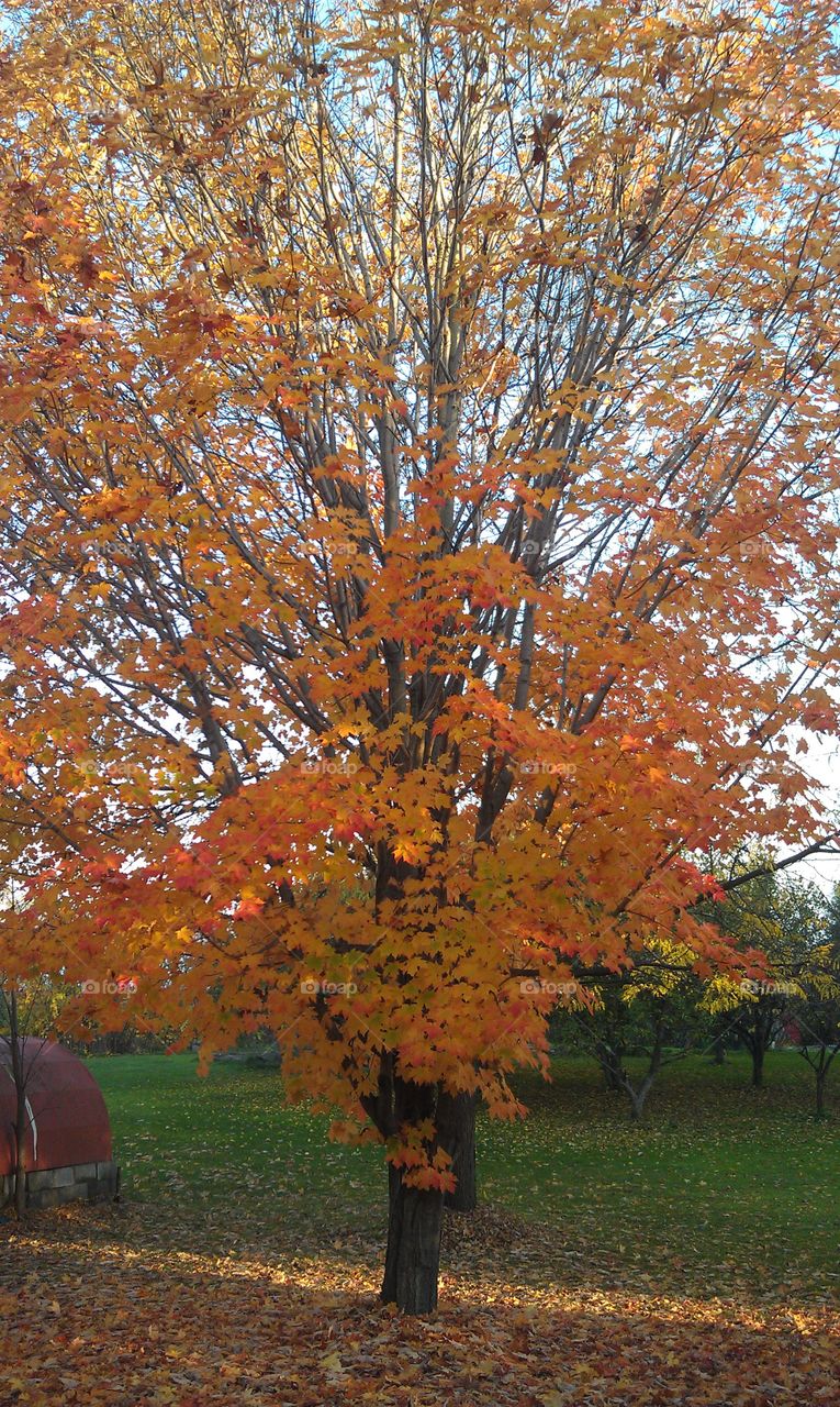 Autumn. my favorite time of year