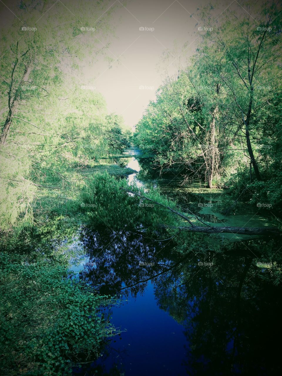 Into the Broad World