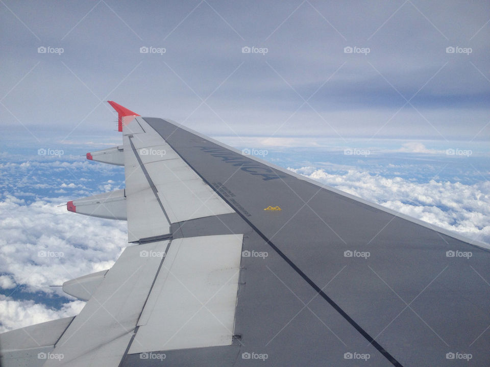 WINGVIEW