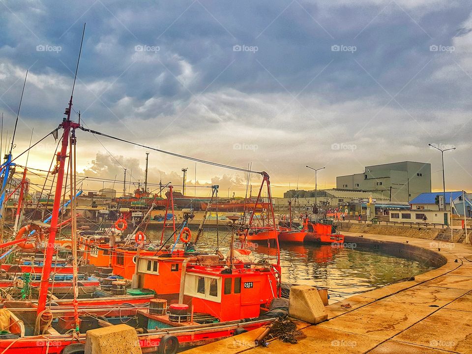 Puerto de Mar del plata