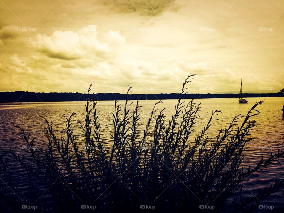 Small bushes by the lake, on the lake surface there is a small boat ,  many clouds on the sky , the water surface was calm, can see a row of trees on water in the distance. me and some people go for a walk on a small road by the lake