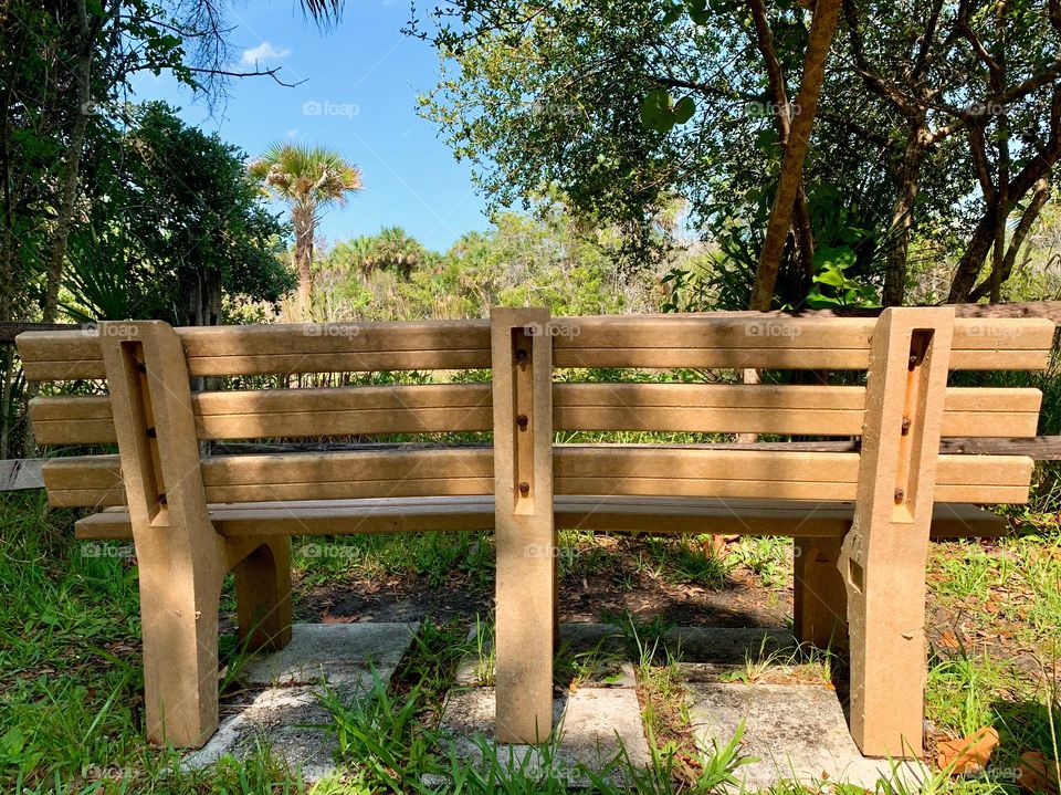 Countryside in a warm and tropical environment with sun going down with lights and shadows looking at a bench side facing the vegetation including grass, trees, bushes and plants.