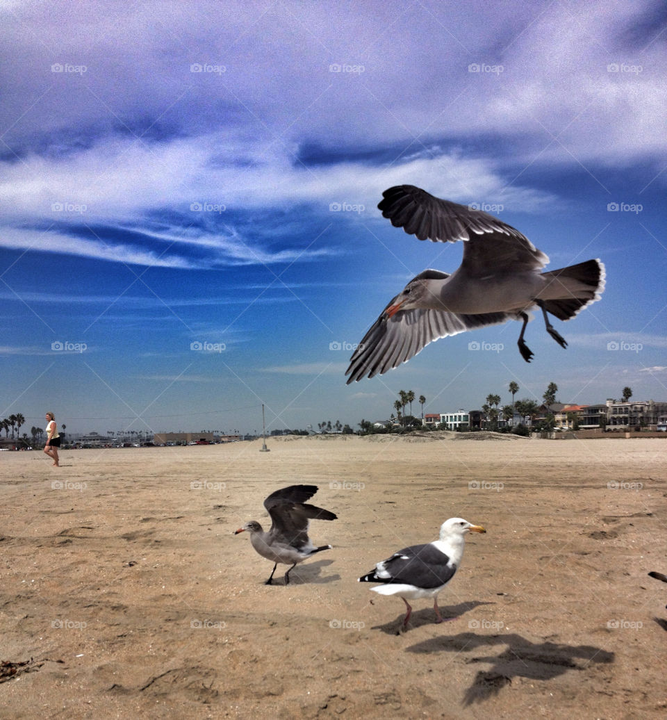 ocean sky nature clouds by analia