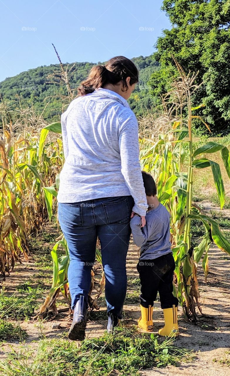 mother and son walking together in corn field