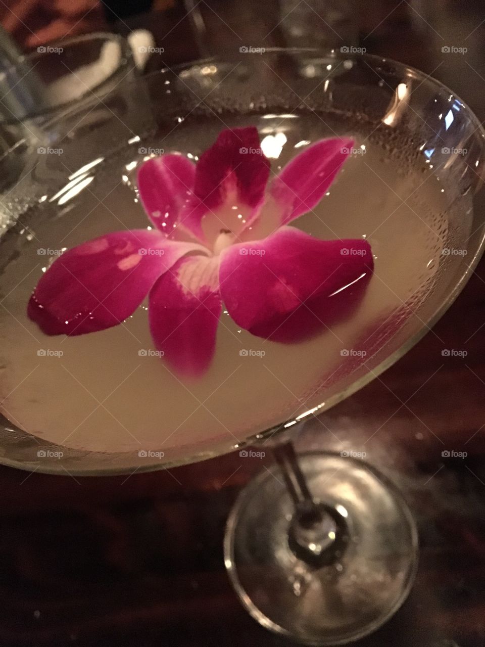 Floating orchid in martini