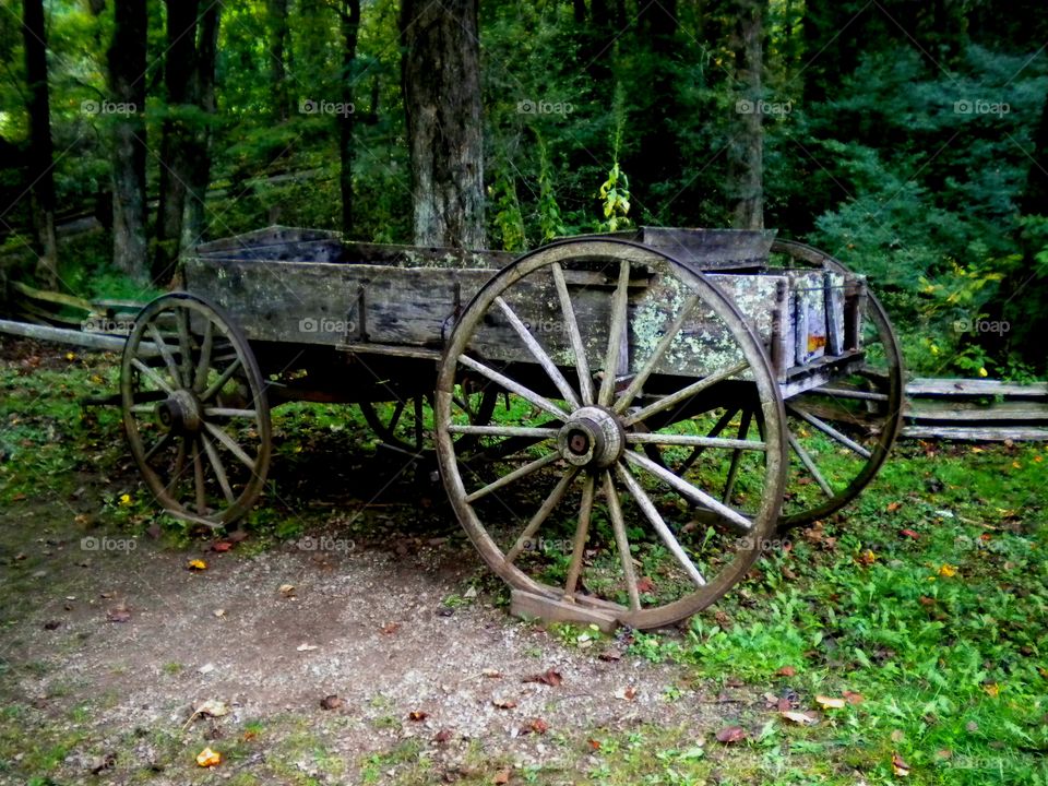 Horse drawn wagon at Mabrys Mill