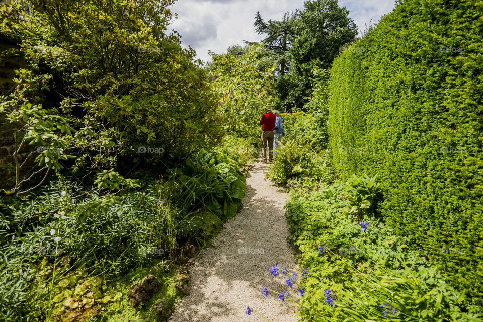 People in garden