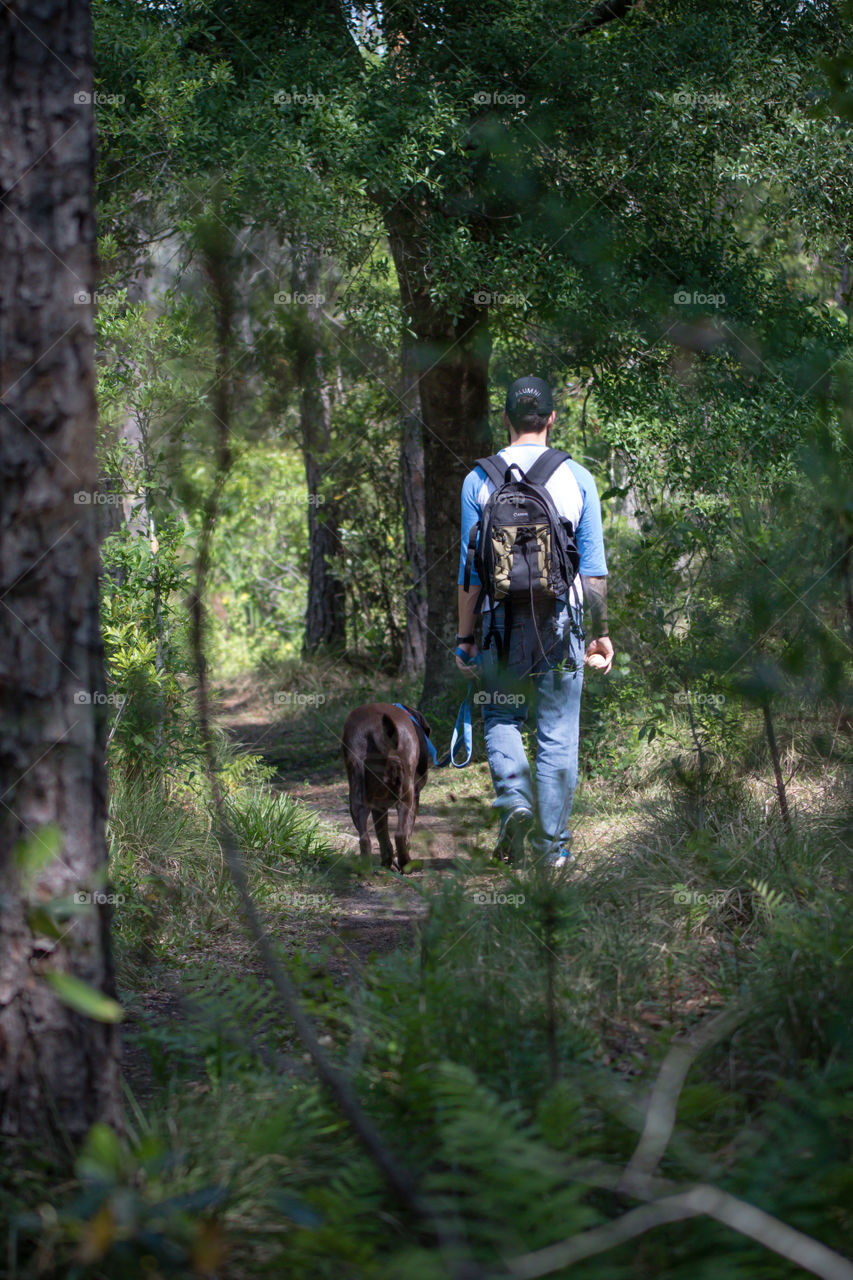 Pet time walk on trail with chocolate lab nature hike