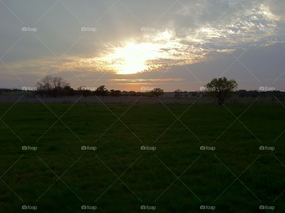 Sunset in a field in Texas. 