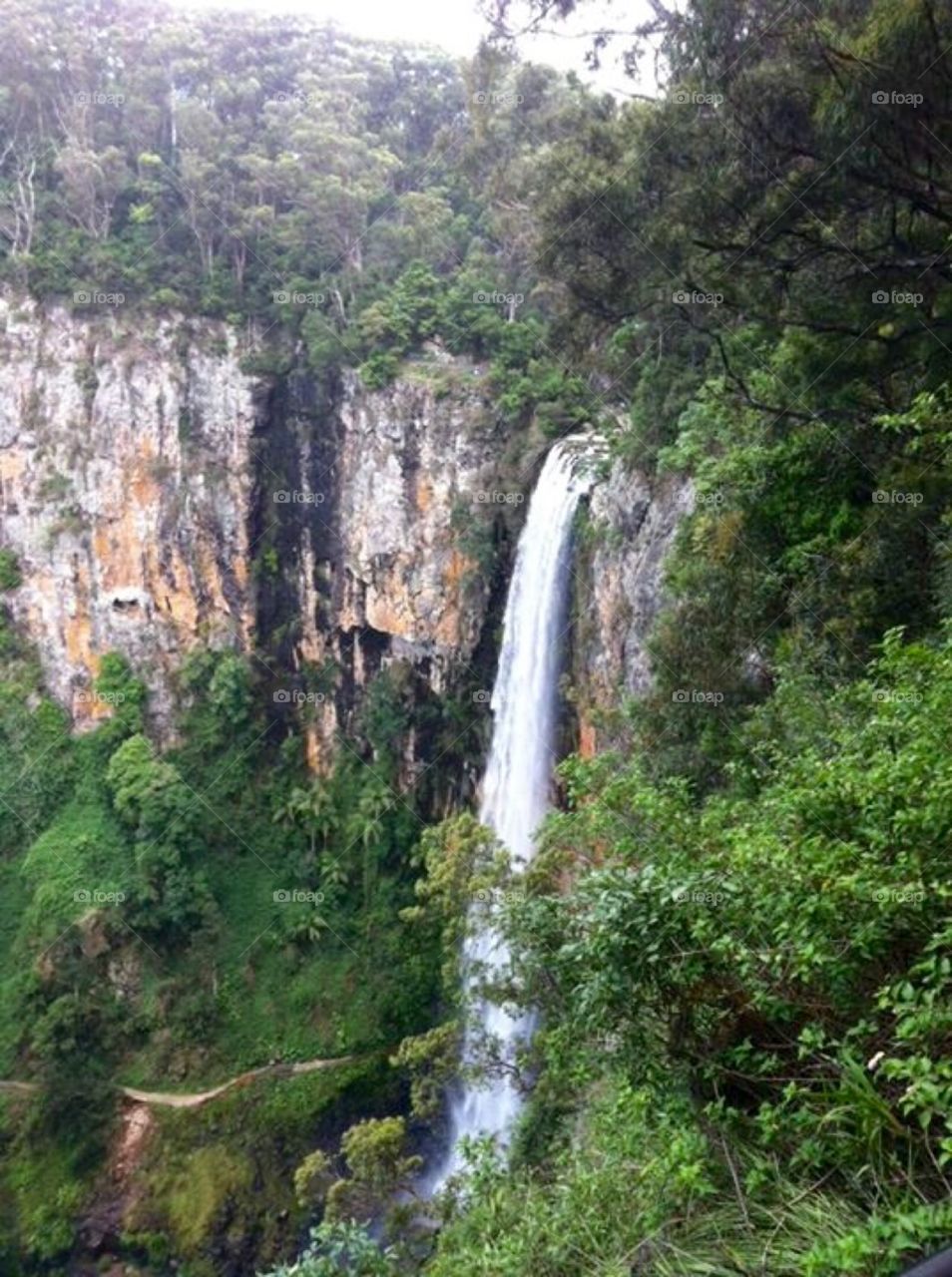 Waterfall - Springbrook National Park (Gold Coast) Australia