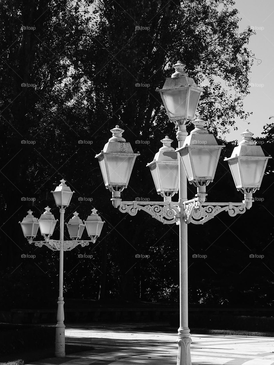 The lampposts of the garden
