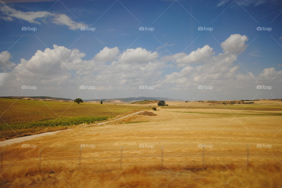 beautiful view from a train