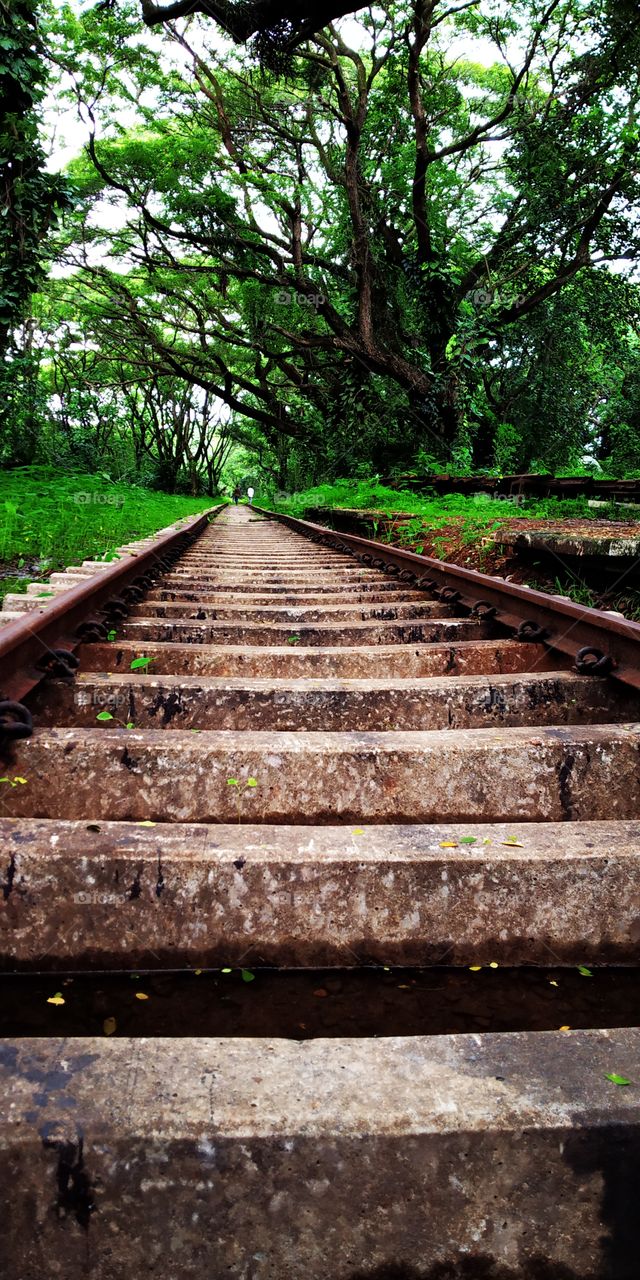 Old rails