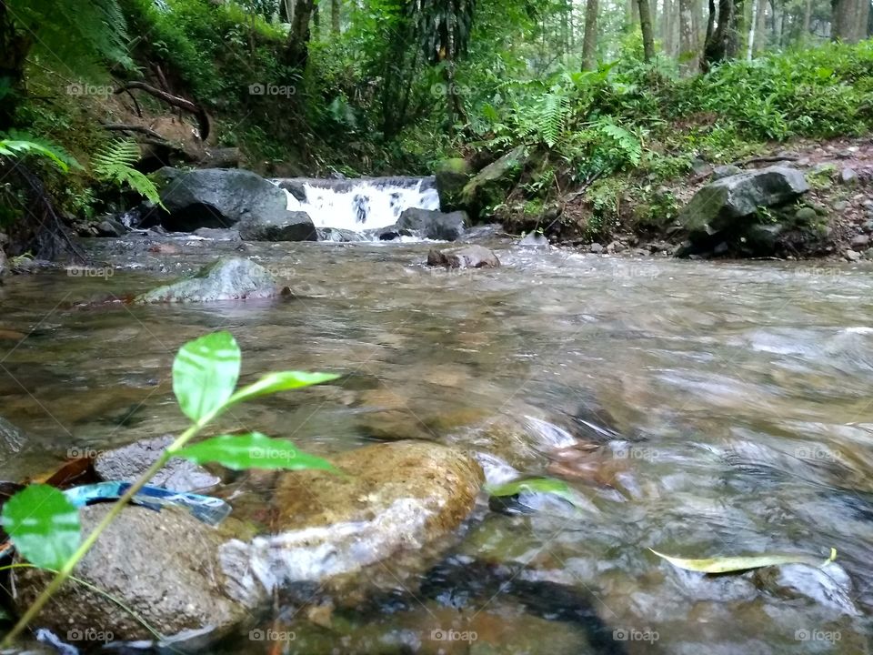 nature river