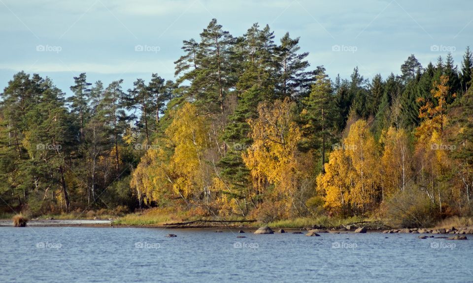 Fall at Listersjöarna, Ronneby Sweden