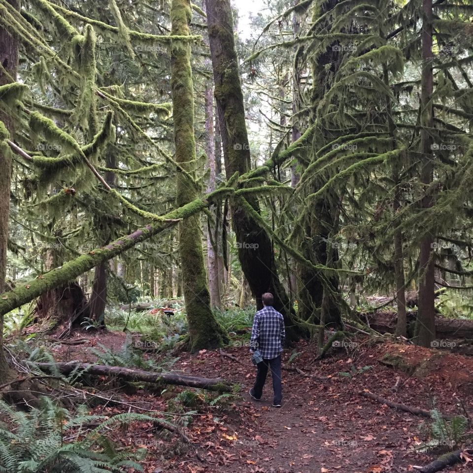 Hiking in the forest 