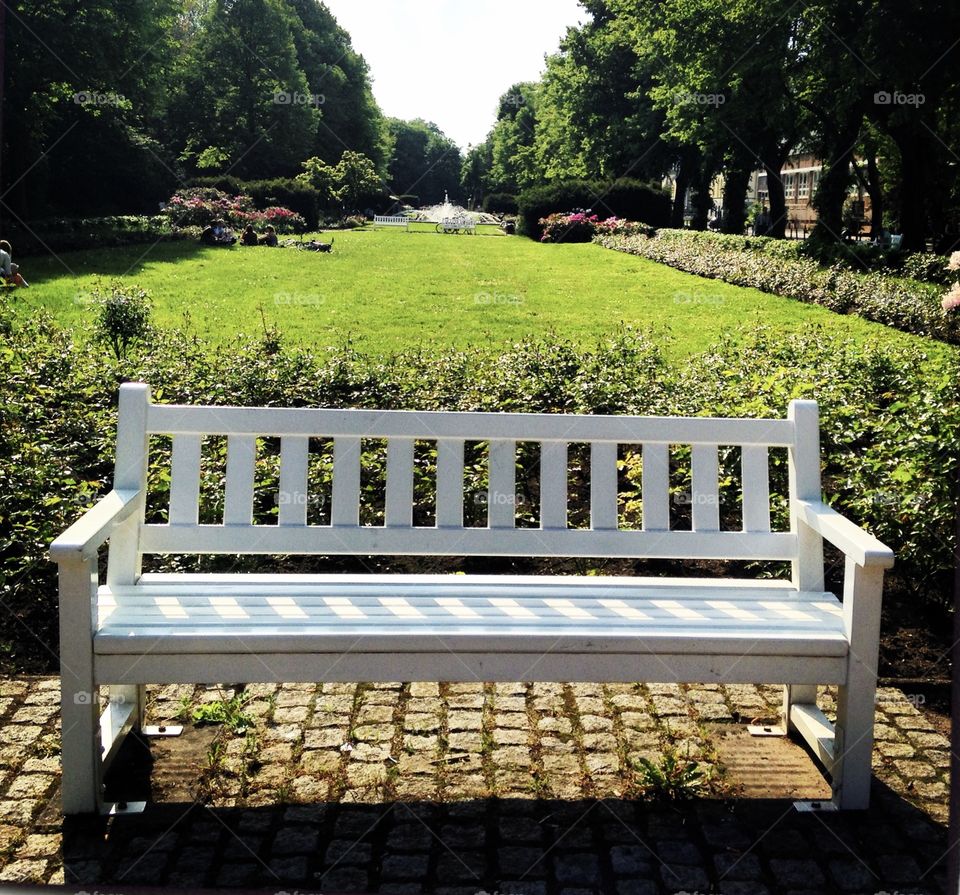 an empty bench in a park in northern germany