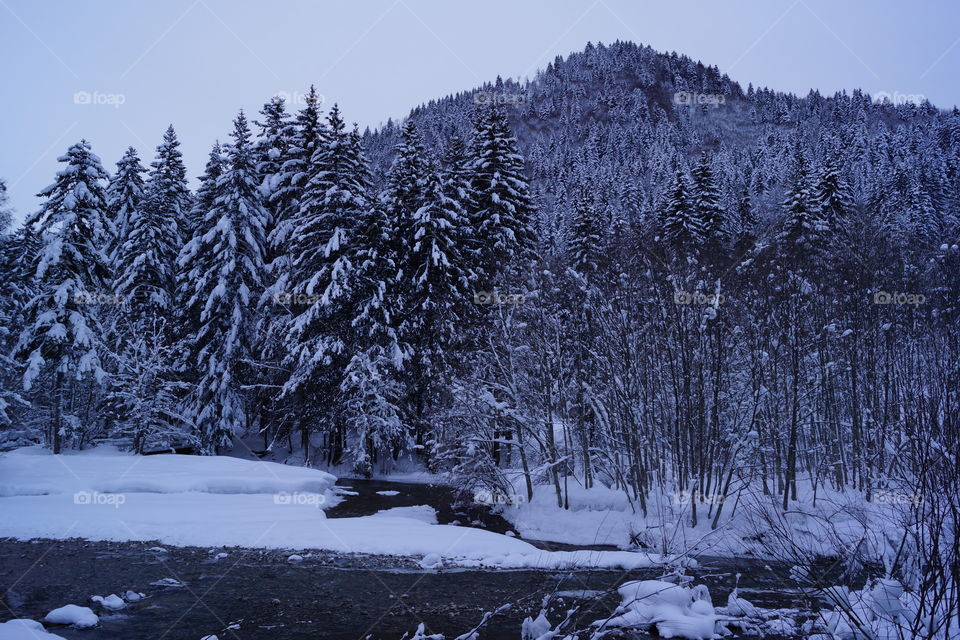 Paysage d'hiver au lac de Vallon (Haute-Savoie - France)