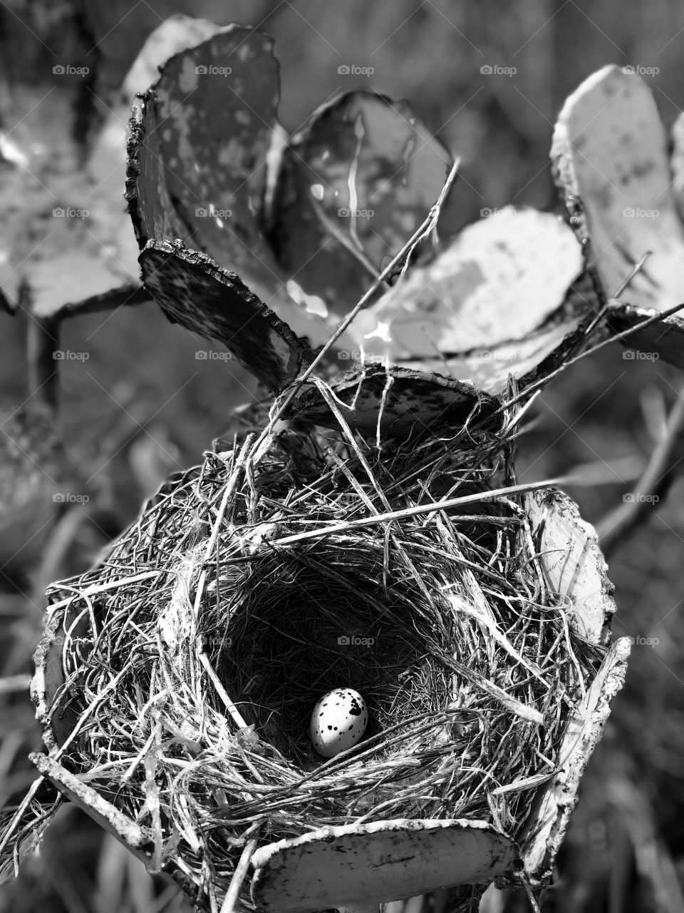 Nature taking back life.  Nest in metal sculpture. 
