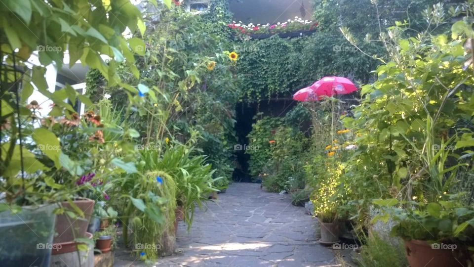 Garten, garden, Toscana in Germany
