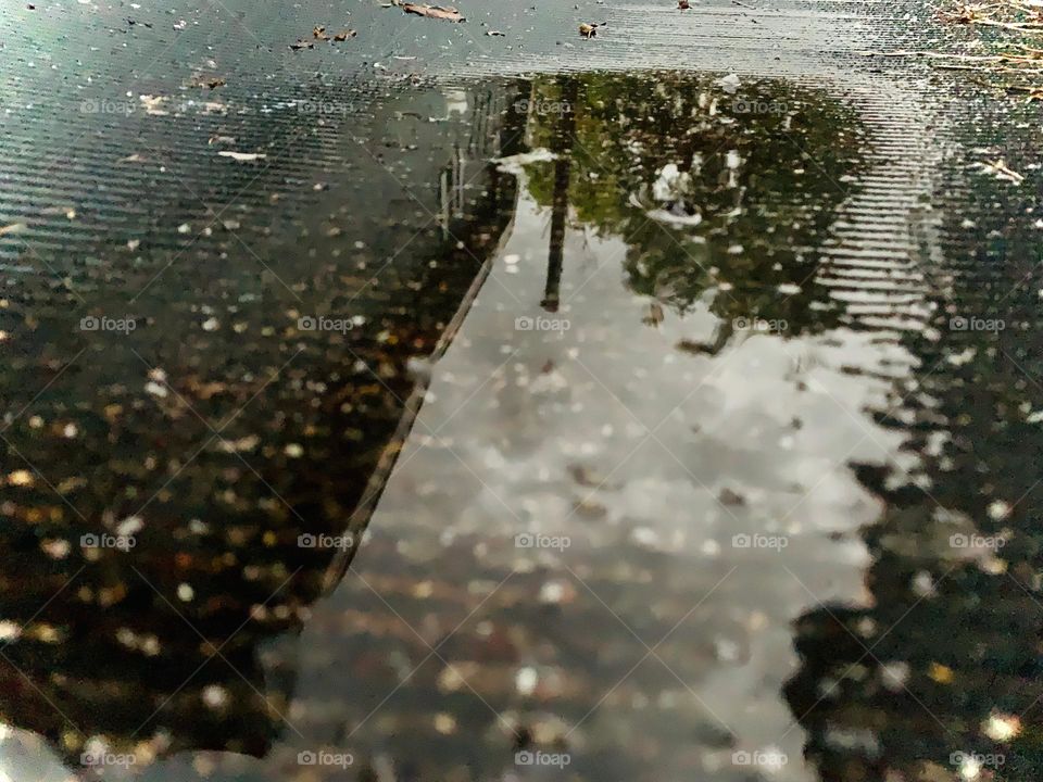 An Image And Shadow Of What Is Above After The Rain 