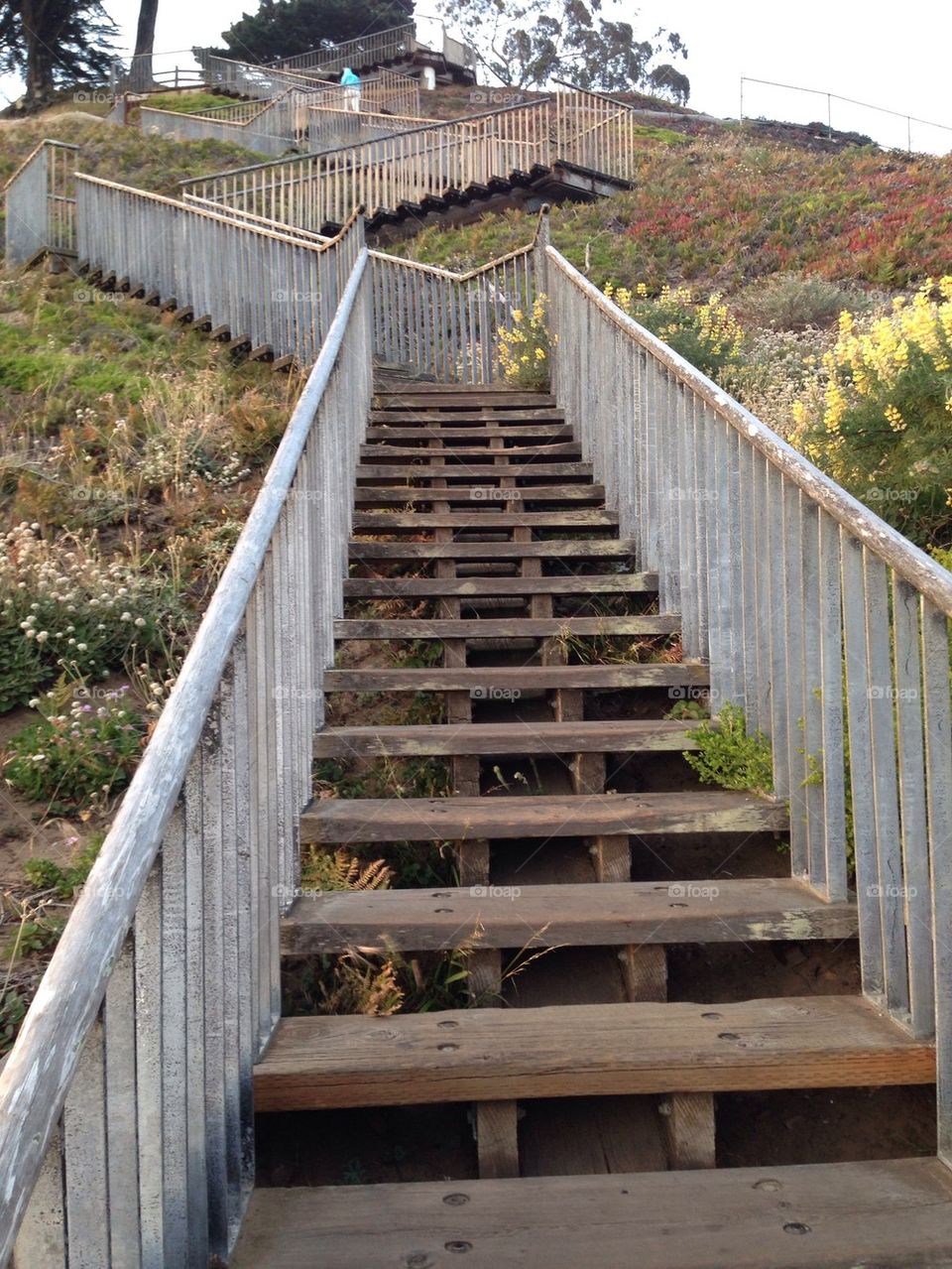 Wooden Steps