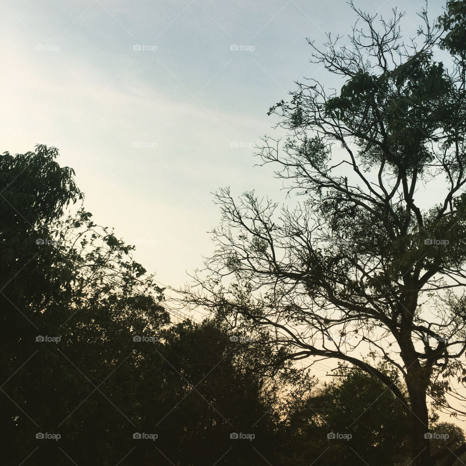 🇺🇸 An extremely beautiful dawn in Jundiaí, interior of Brazil. Cheer the nature! / 🇧🇷 Um amanhecer extremamente bonito em Jundiaí, interior do Brasil. Viva a natureza!