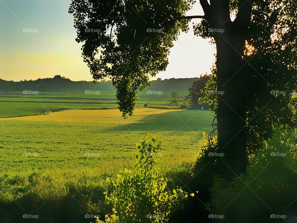 Early morning landscape while trout fishing