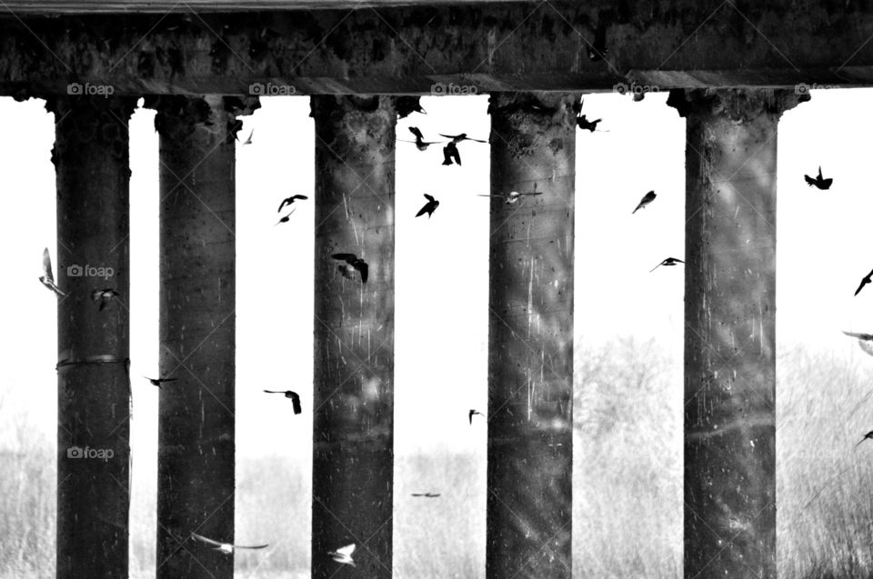 The great bridge foundation 