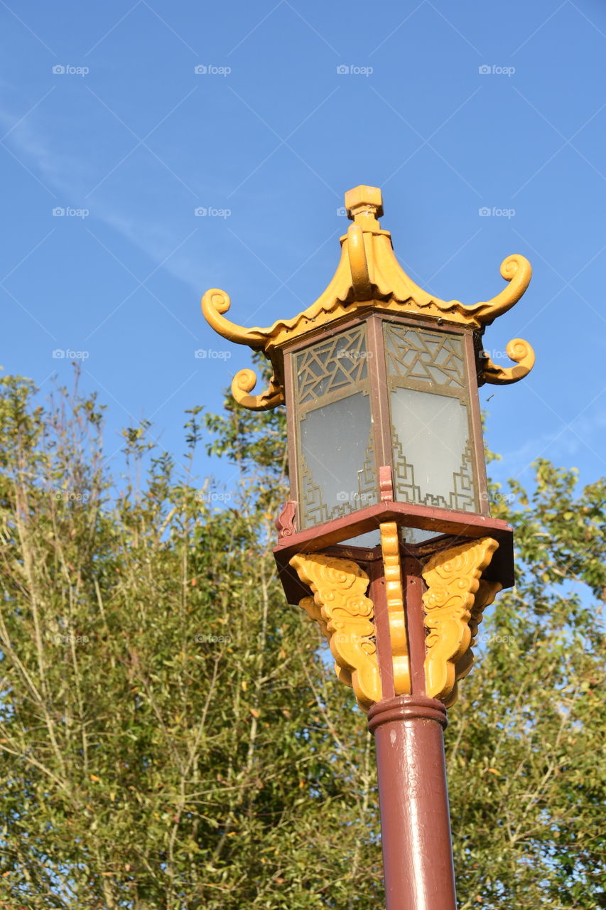 Unique things of the world