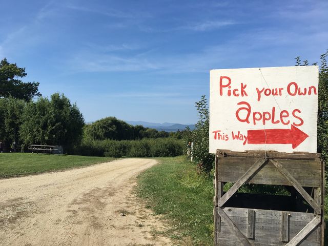 Shelburne, VT 