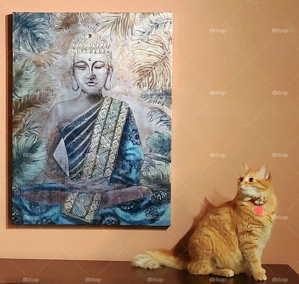 Sammy and Buddah Pic