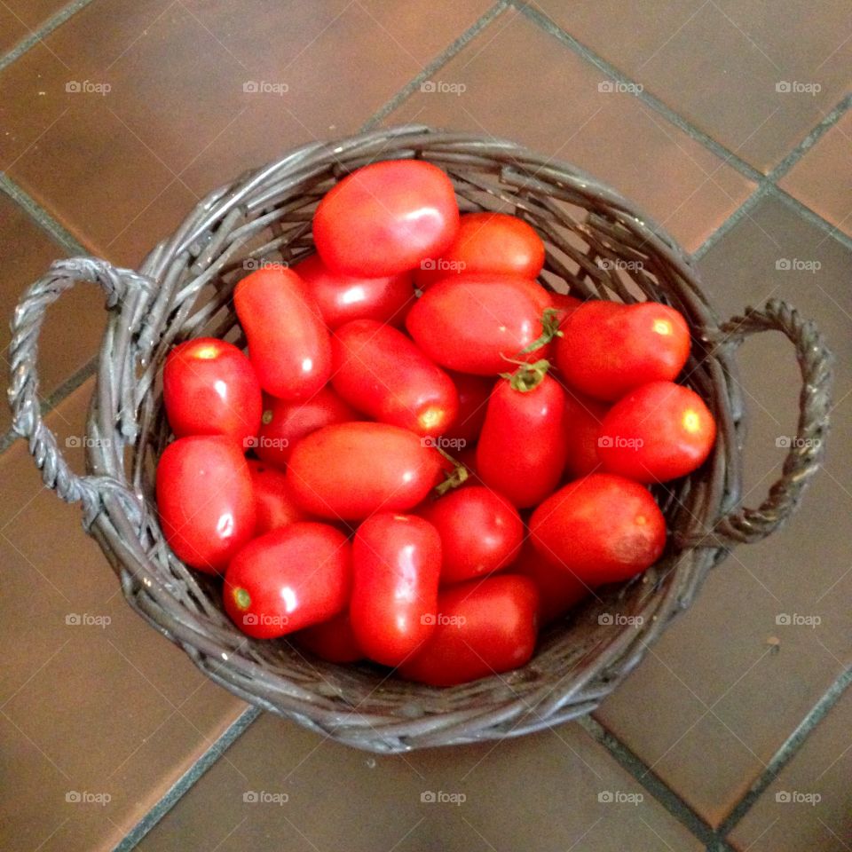 Basket of organic tomatoes