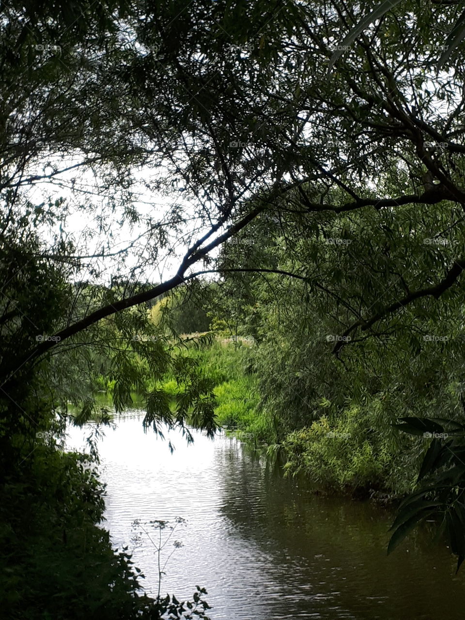 Lazy River