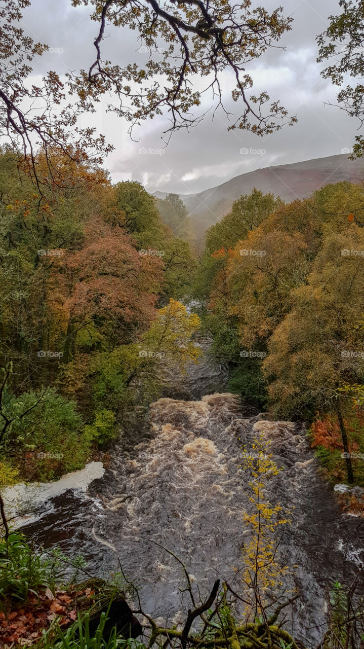 River Dart, Dartmoor