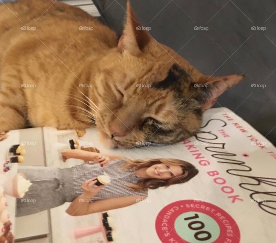 Were you reading this?