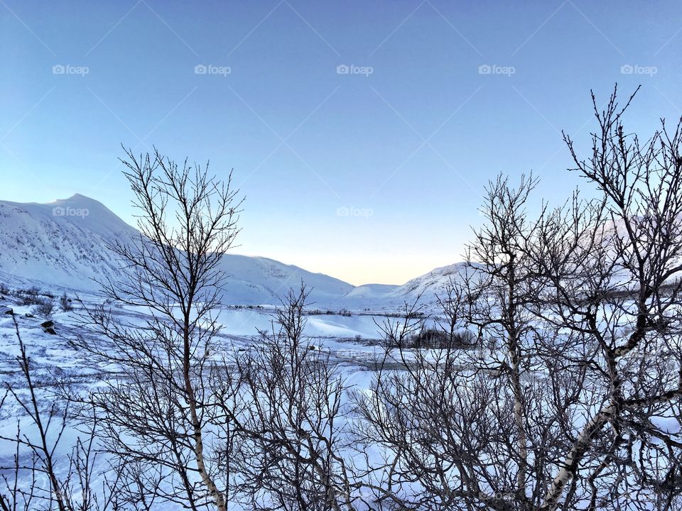 Winter in the mountain 