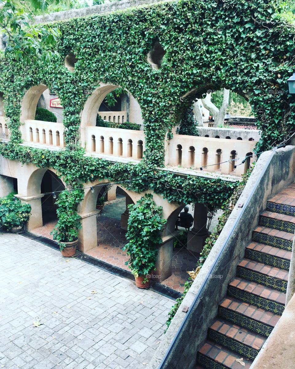 Architecture, Garden, Travel, Step, No Person