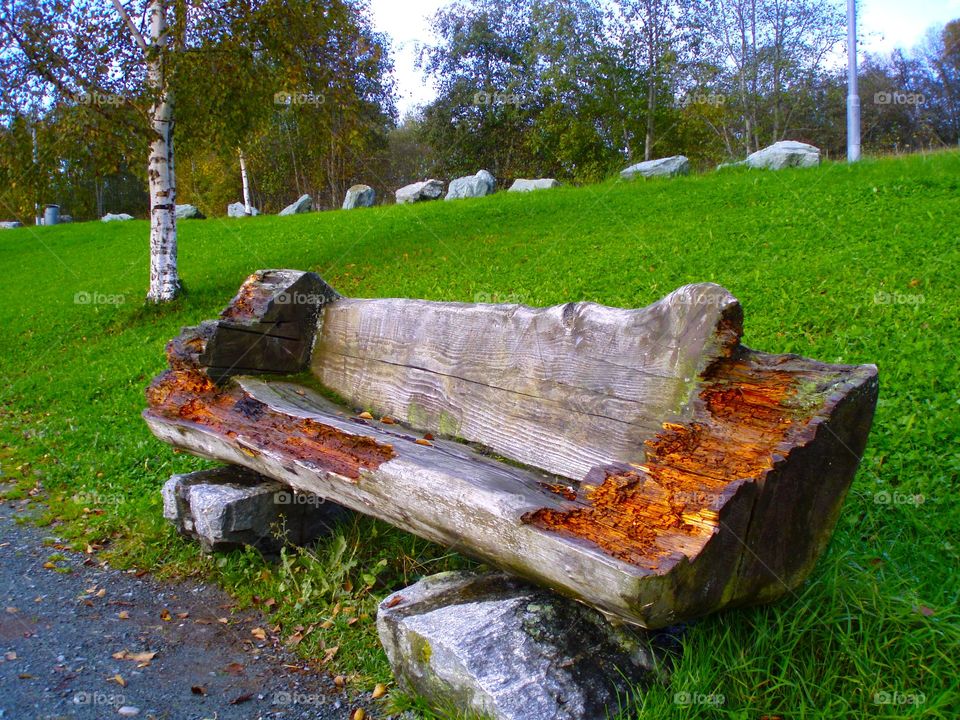 Very old bench