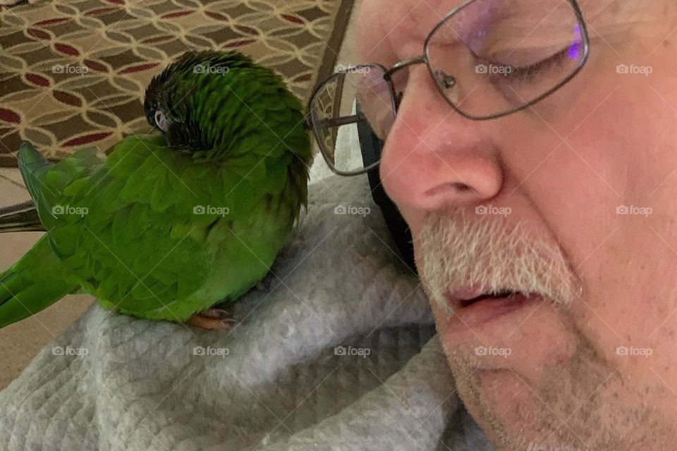 Man with his pet Parrot taking a nap together.