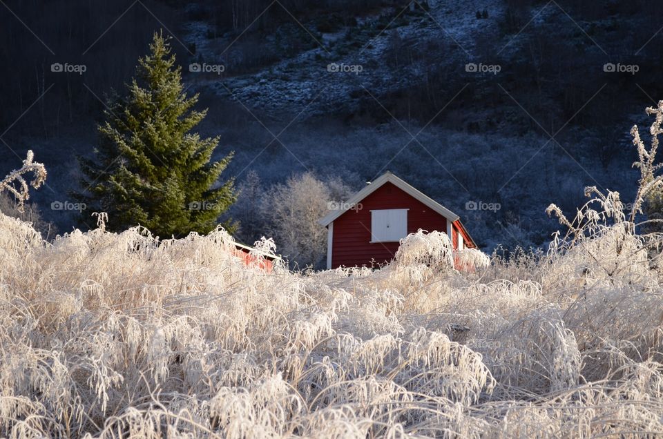 View of house in winter day