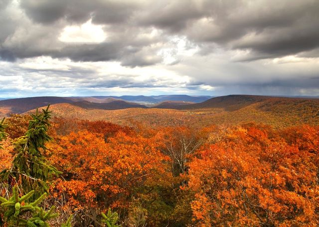 fall