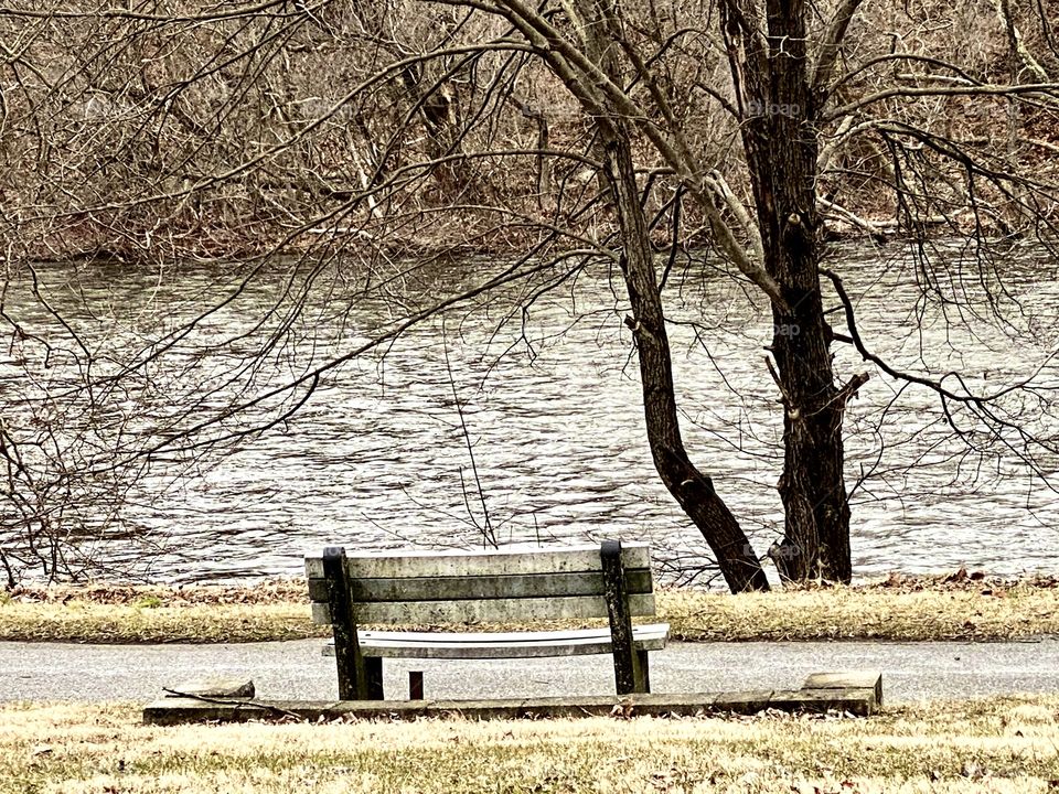 Park bench 