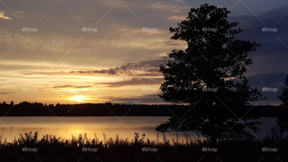 Sunset