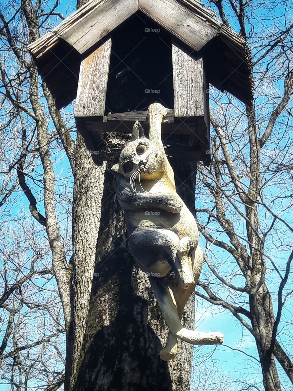 nature outdoor view spring summer