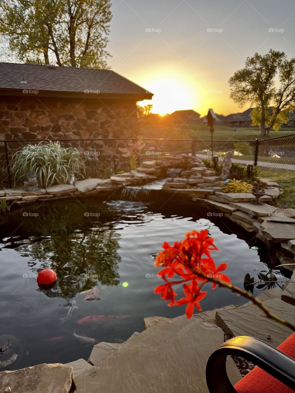 Sunset at the Pond 
