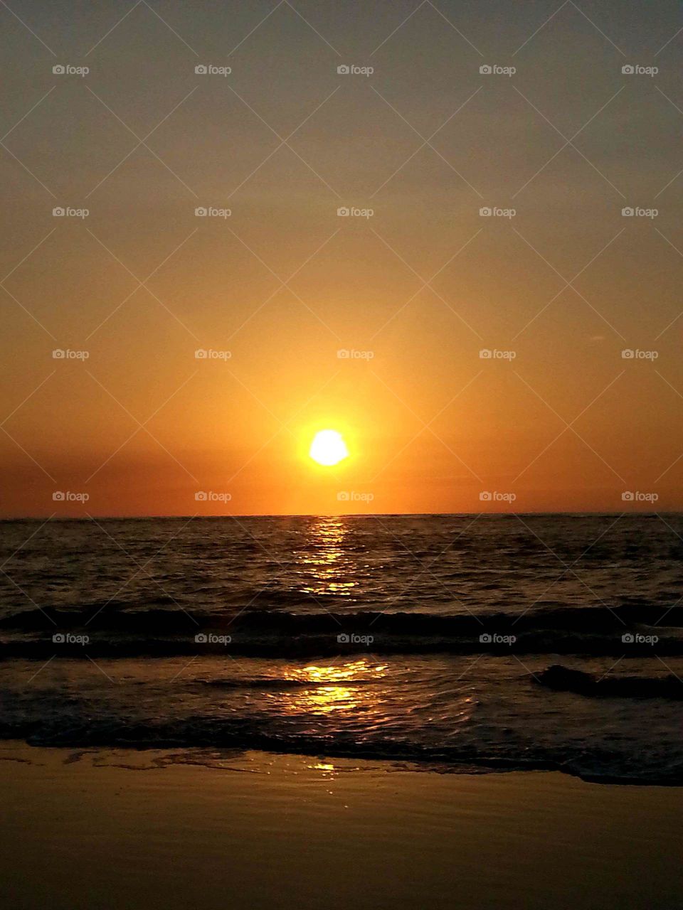 The  ocean sunrise