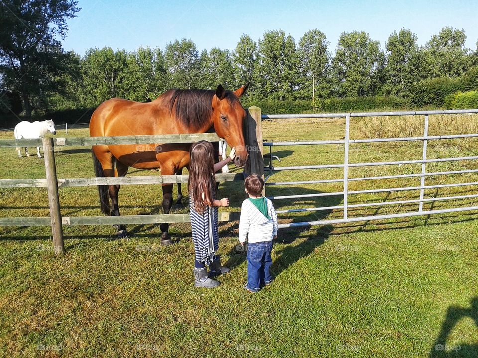 My kids saying hi to the horse