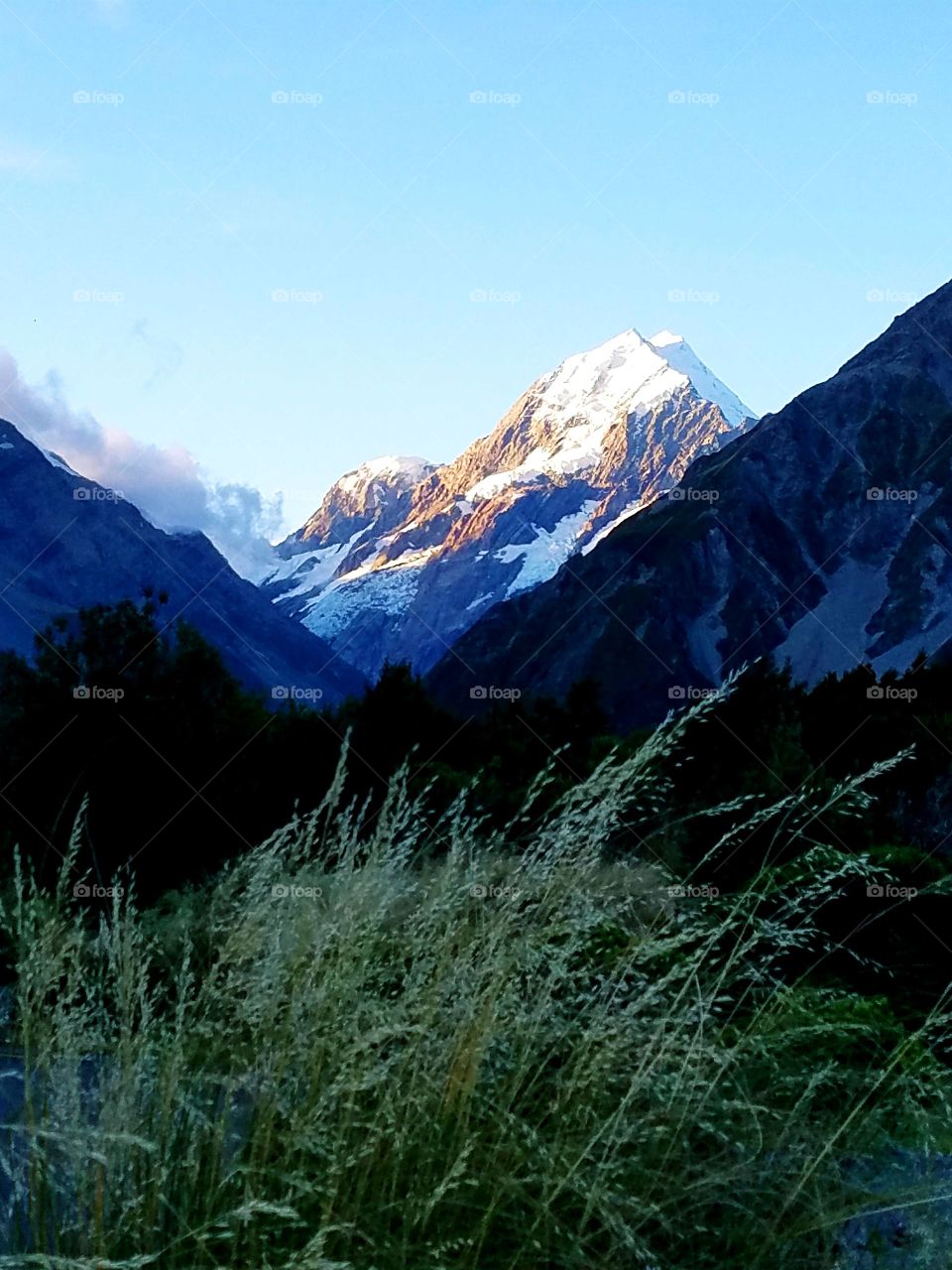 Majestic Mount cook