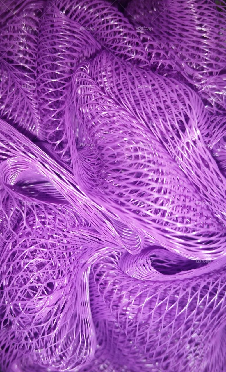 Close-up of purple object